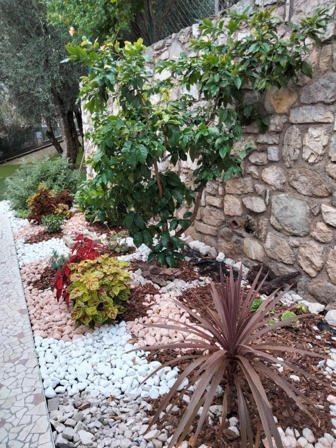 La Casa Sul Lago Apartments - Lemon Tree Apartment Limone sul Garda Exterior foto